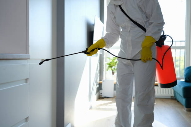 Mold Remediation for Vacation Homes in Bradford Woods, PA
