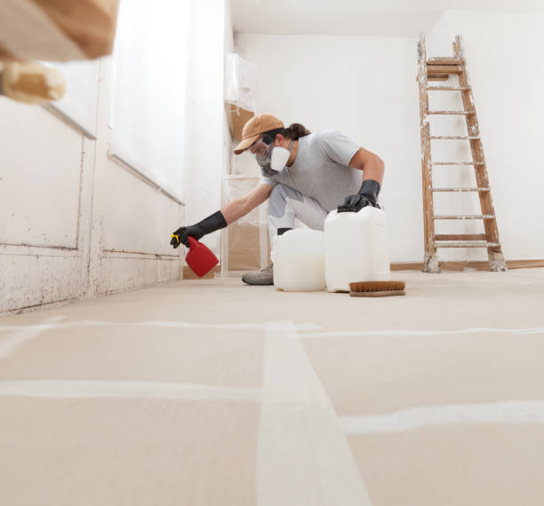 Best Water Damage & Mold Remediation  in Bradford Woods, PA