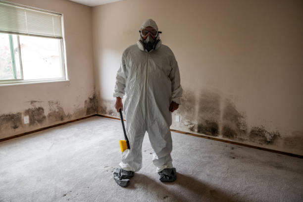 Best Mold Remediation for Healthcare Facilities  in Bradford Woods, PA